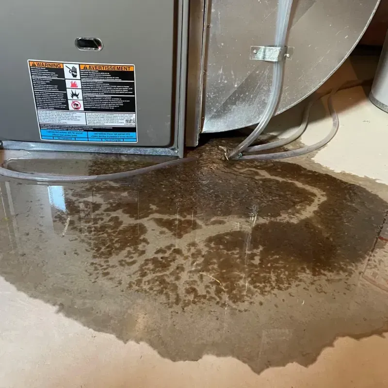 Appliance Leak Cleanup in Mullens, WV